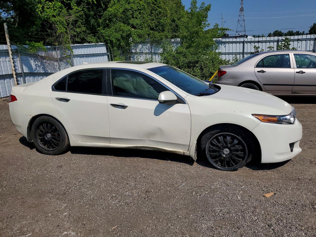 2010 Acura Tsx White vin: JH4CU2F6XAC011899