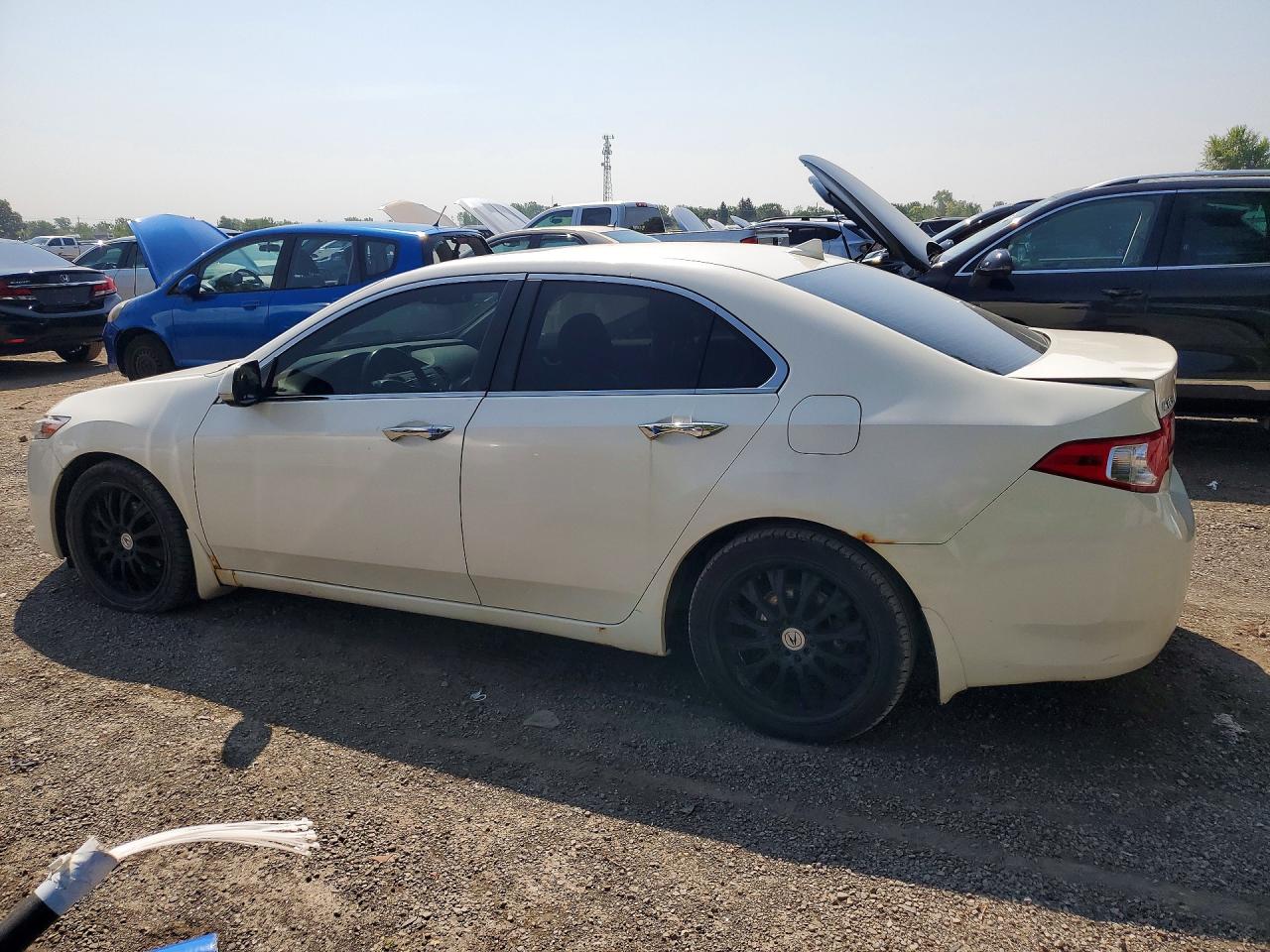 2010 Acura Tsx White vin: JH4CU2F6XAC011899