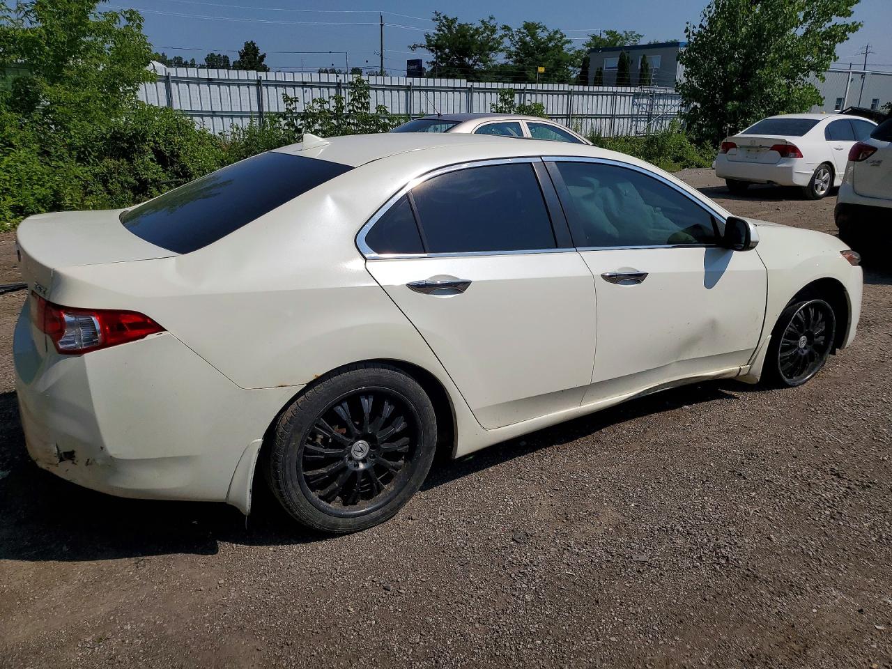 2010 Acura Tsx White vin: JH4CU2F6XAC011899