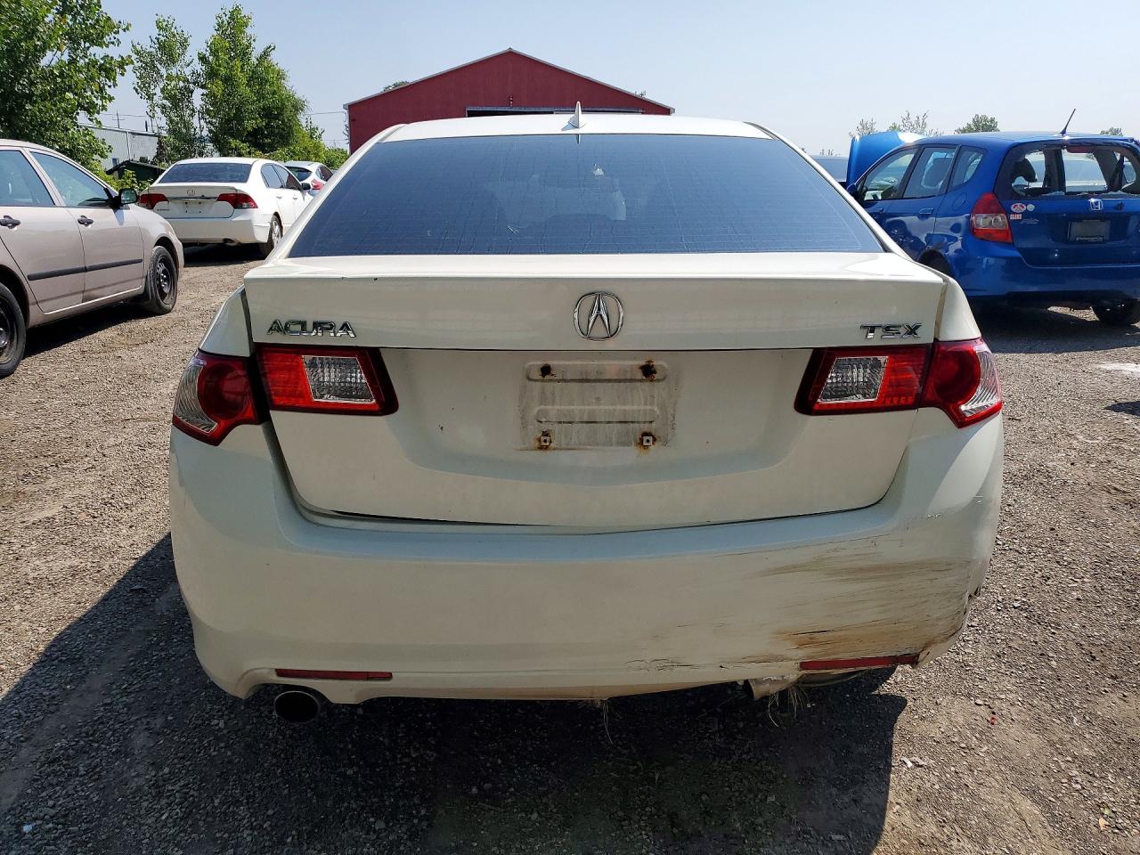 2010 Acura Tsx White vin: JH4CU2F6XAC011899