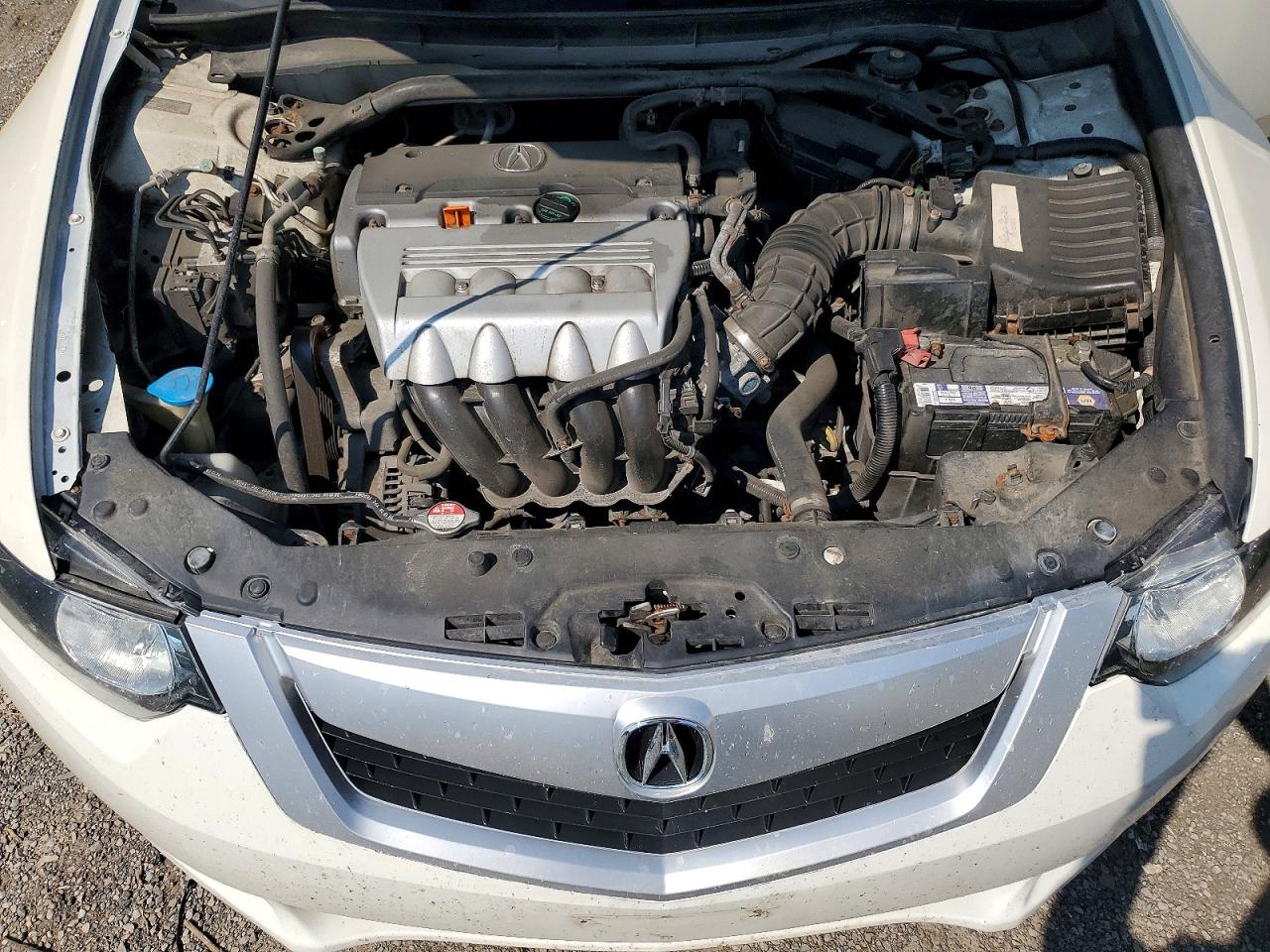 2010 Acura Tsx White vin: JH4CU2F6XAC011899