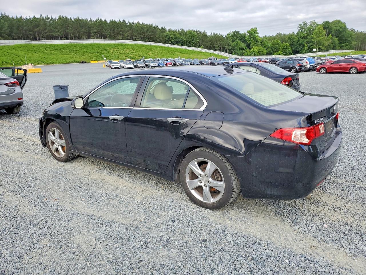 2011 Acura Tsx Black vin: JH4CU2F6XBC007708