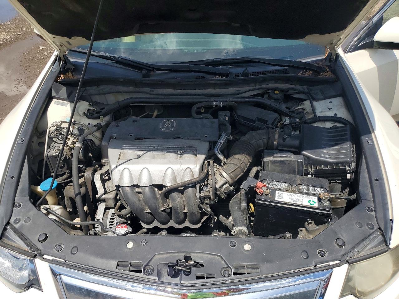 2011 Acura Tsx White vin: JH4CU2F6XBC016361