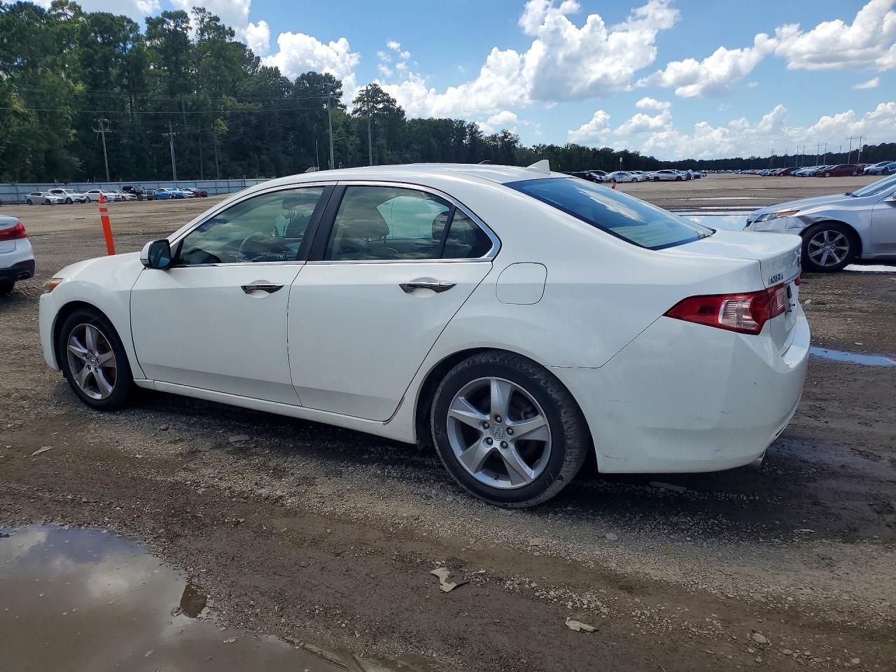 2011 Acura Tsx White vin: JH4CU2F6XBC016361
