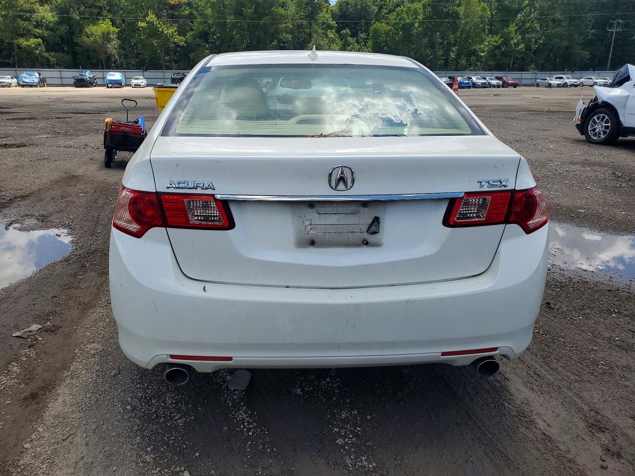 2011 Acura Tsx White vin: JH4CU2F6XBC016361