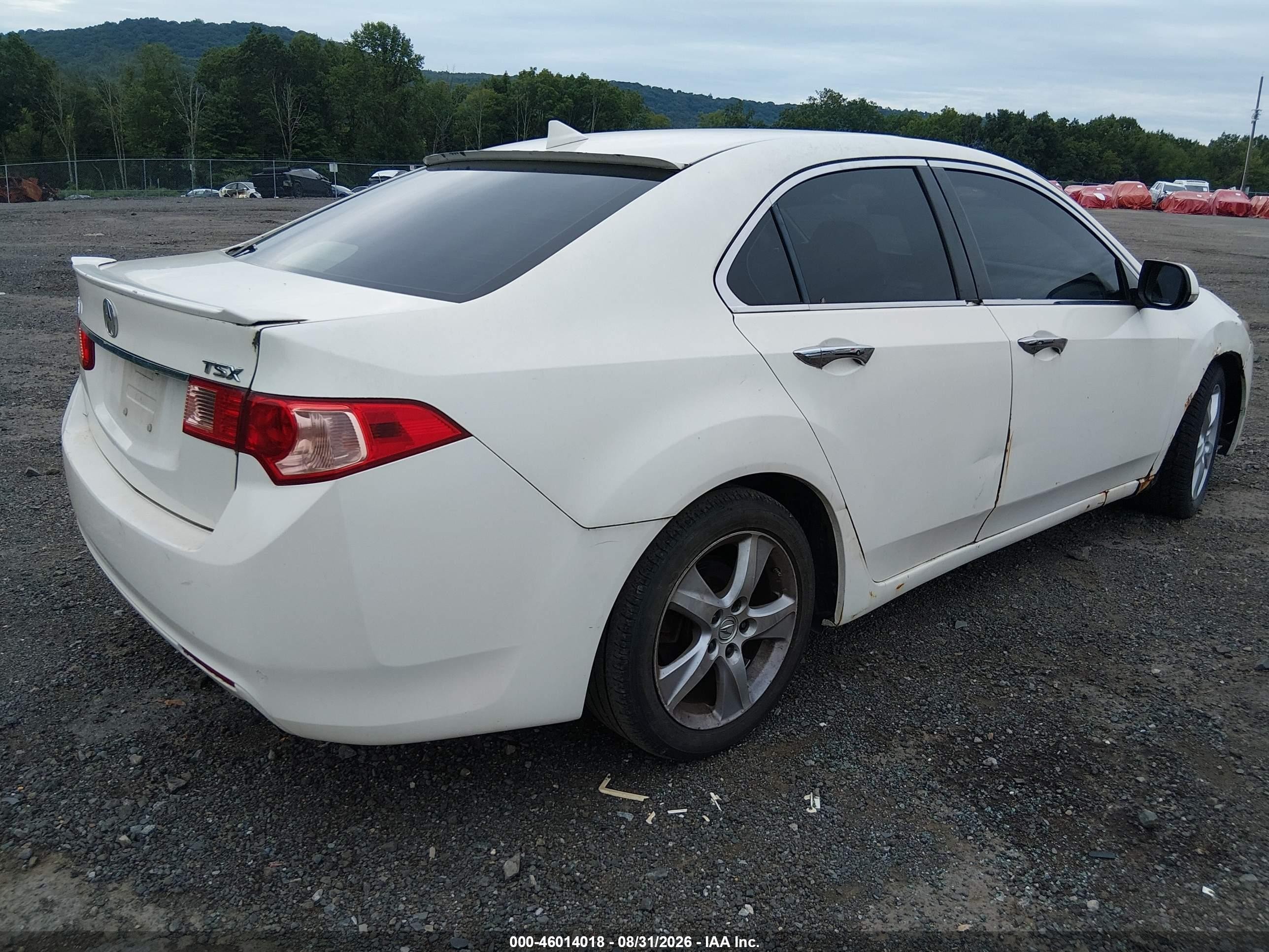 2011 Acura Tsx 2.4 White vin: JH4CU2F6XBC017896