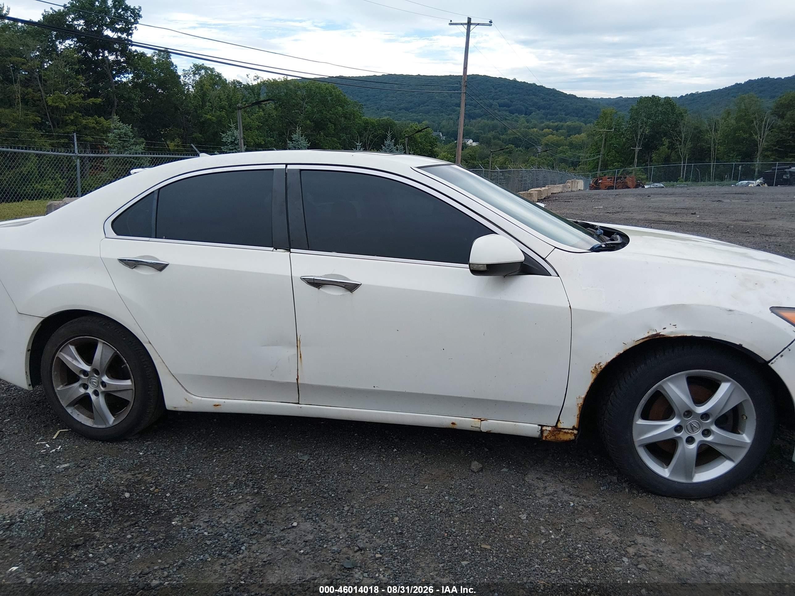 2011 Acura Tsx 2.4 White vin: JH4CU2F6XBC017896