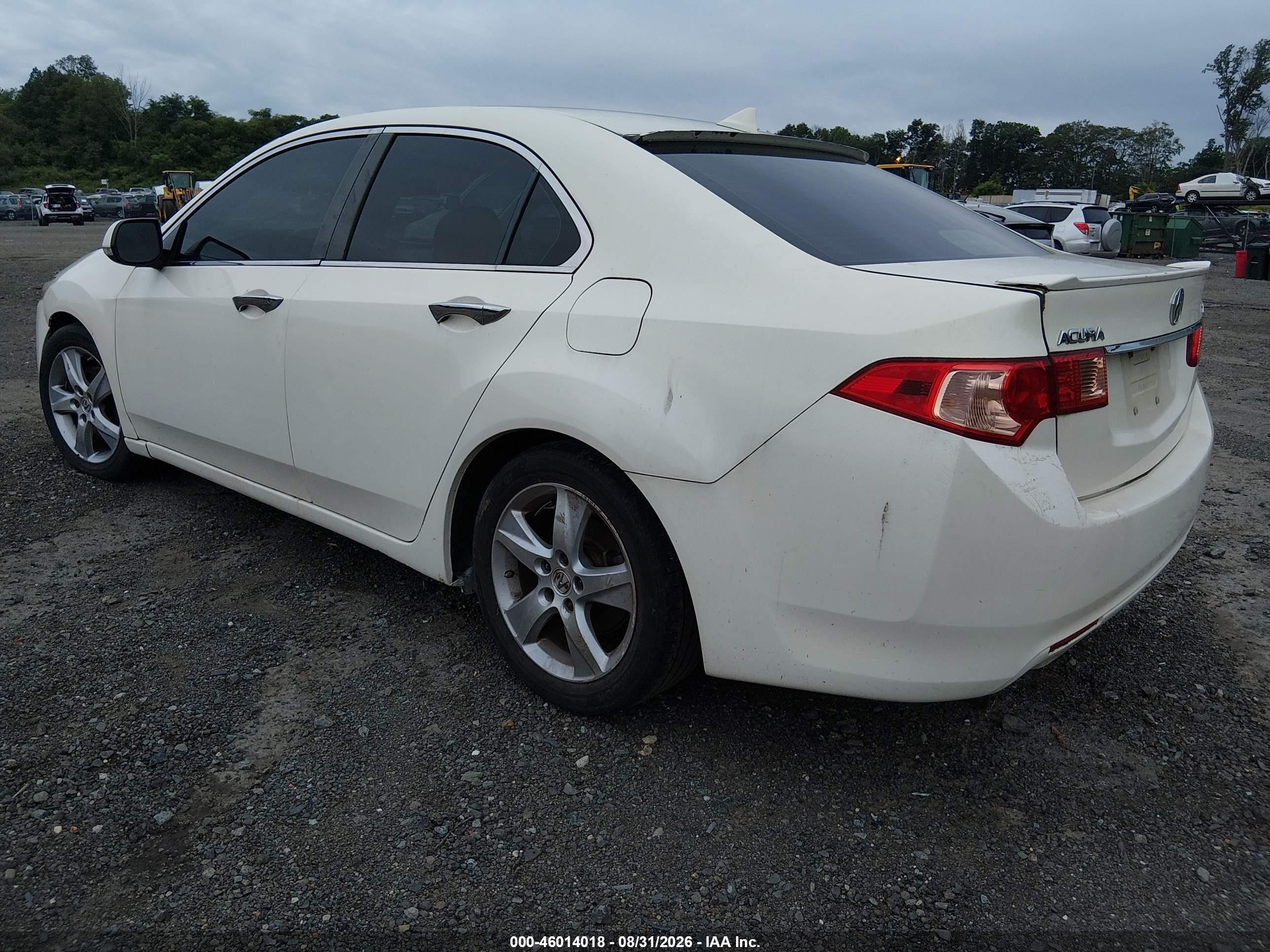 2011 Acura Tsx 2.4 White vin: JH4CU2F6XBC017896