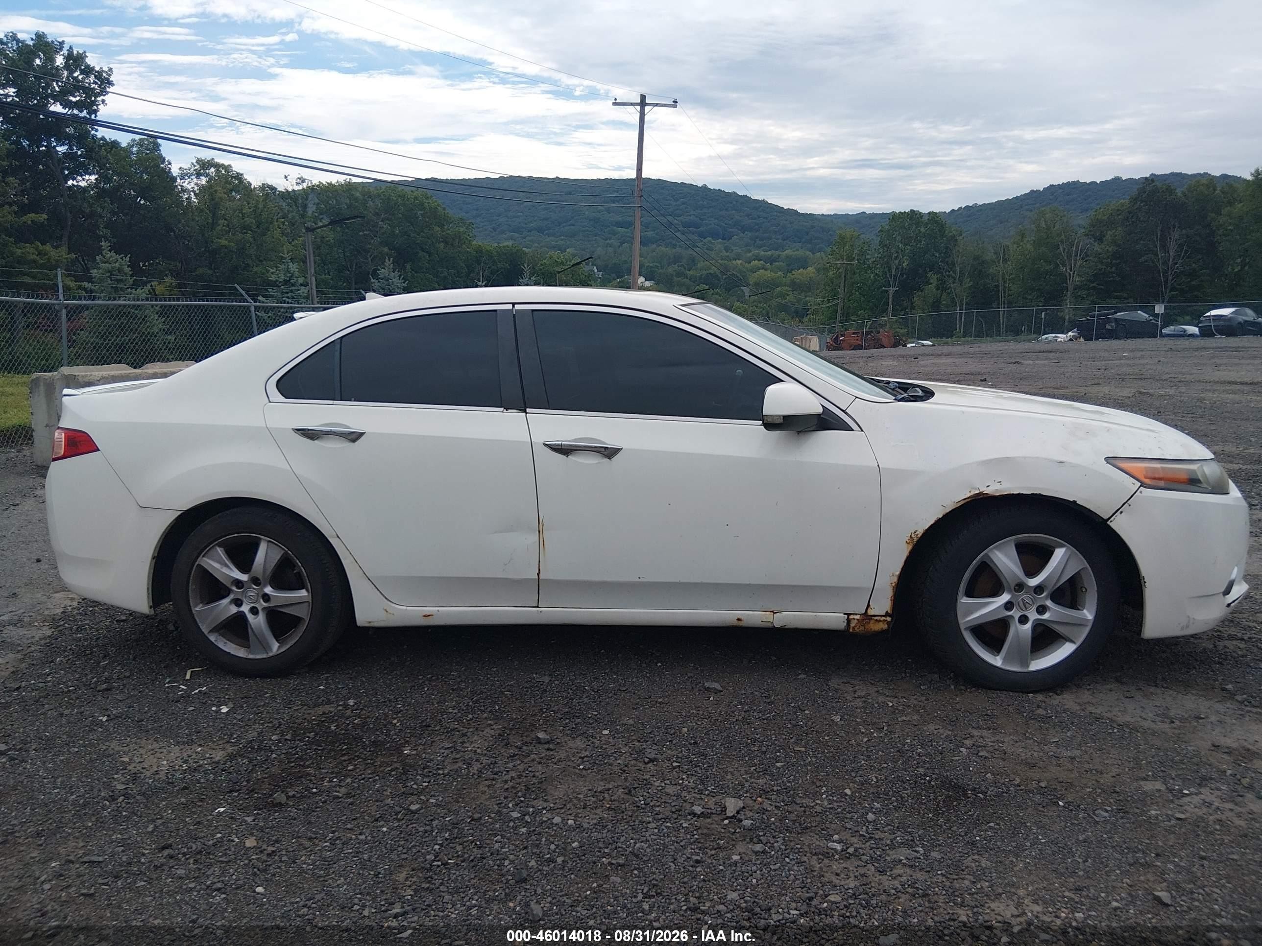 2011 Acura Tsx 2.4 White vin: JH4CU2F6XBC017896