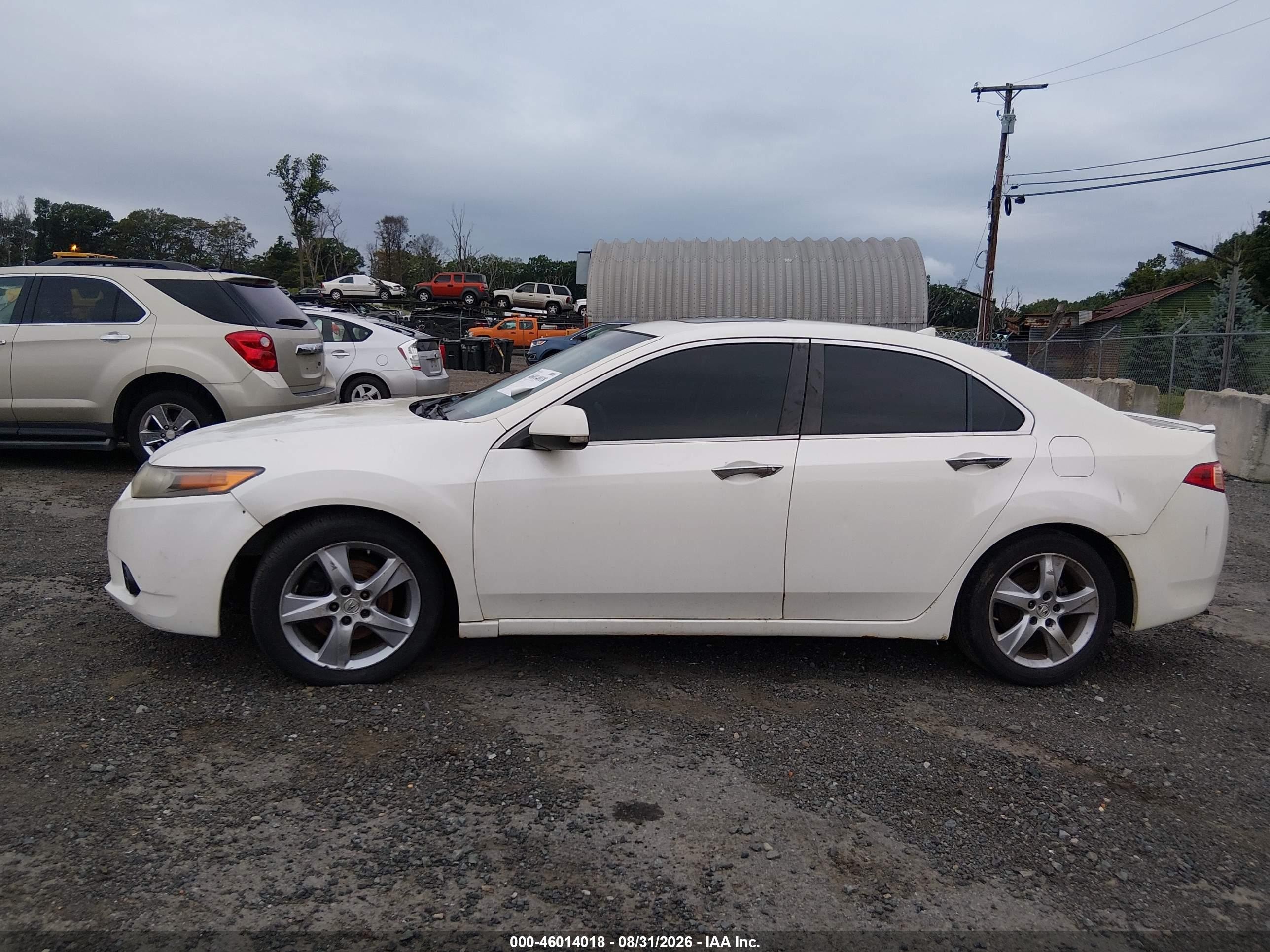 2011 Acura Tsx 2.4 White vin: JH4CU2F6XBC017896
