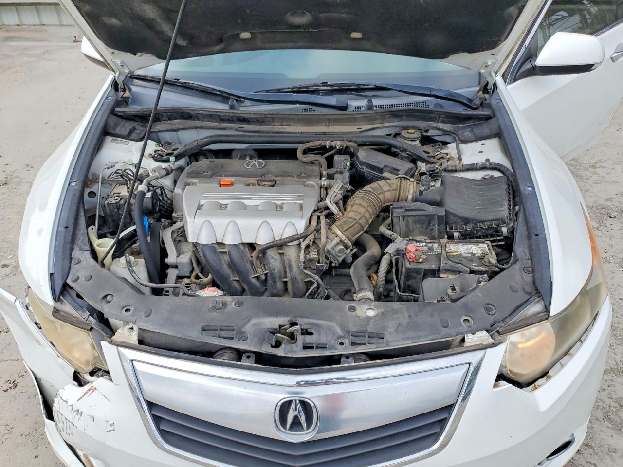 2013 Acura Tsx Se White vin: JH4CU2F84DC008566