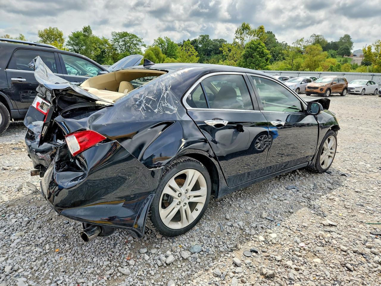 2010 Acura Tsx Black vin: JH4CU4F61AC000849