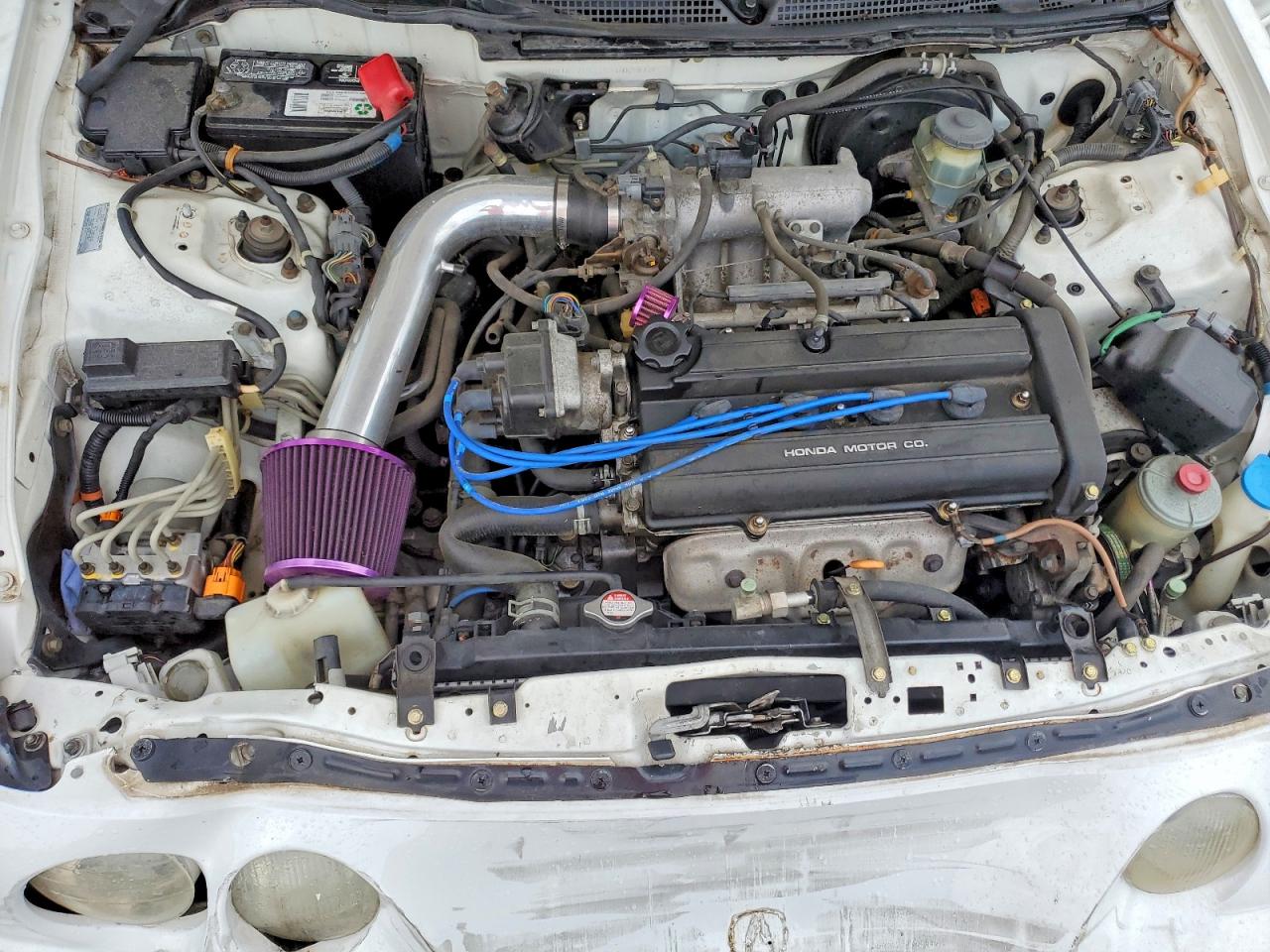 1999 Acura Integra Ls Белый vin: JH4DB7653XS002913