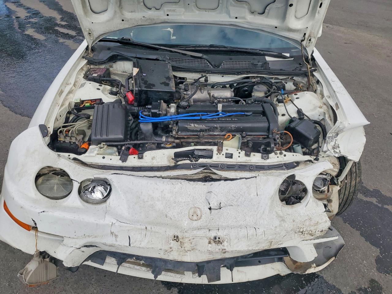 1999 Acura Integra Ls White vin: JH4DB7657XS000890
