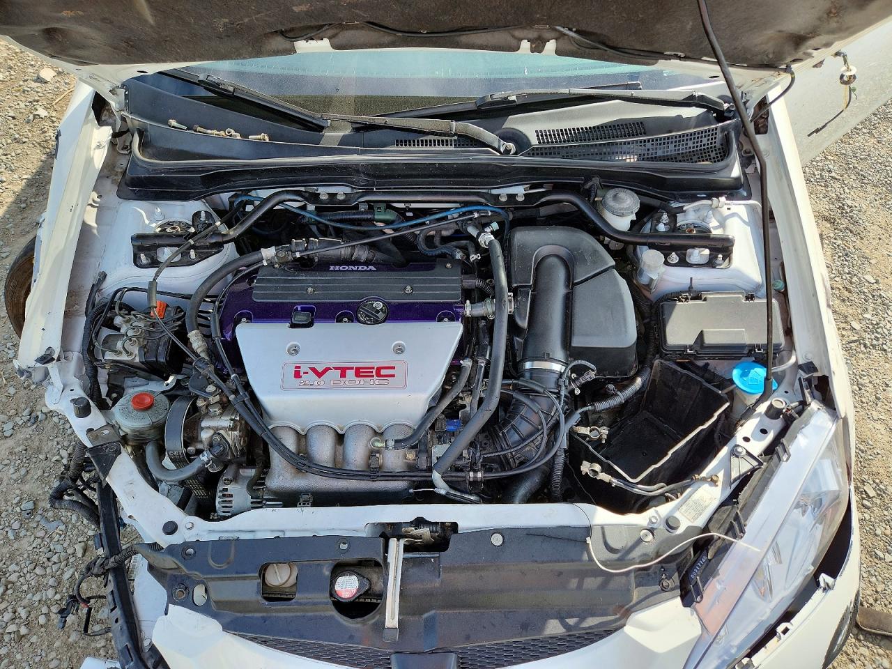 2005 Acura Rsx Type-s White vin: JH4DC53015S013061