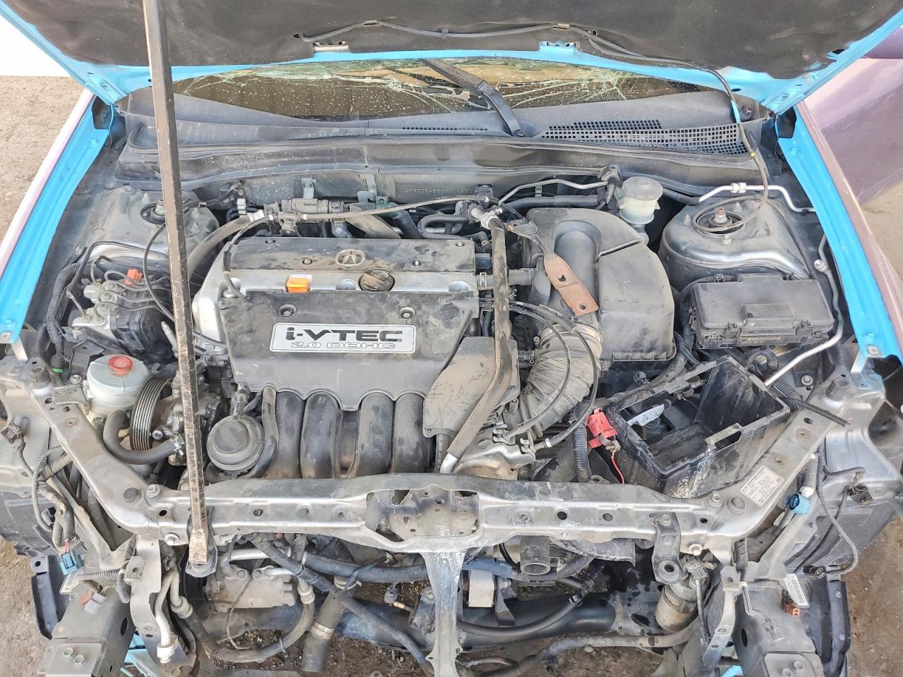 2006 Acura Rsx Two Tone vin: JH4DC54866S014230