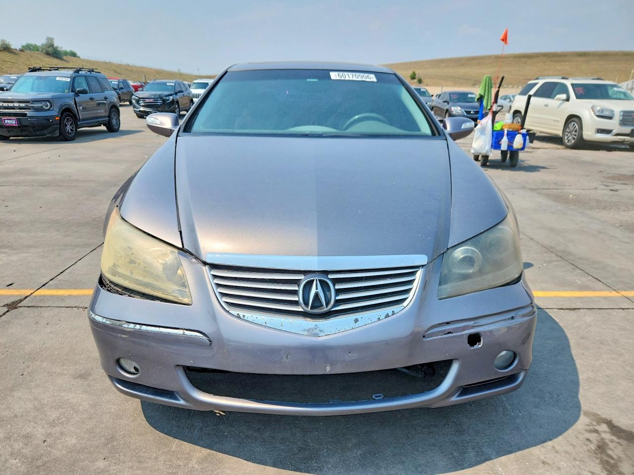 2005 Acura Rl Gray vin: JH4KB16505C017803