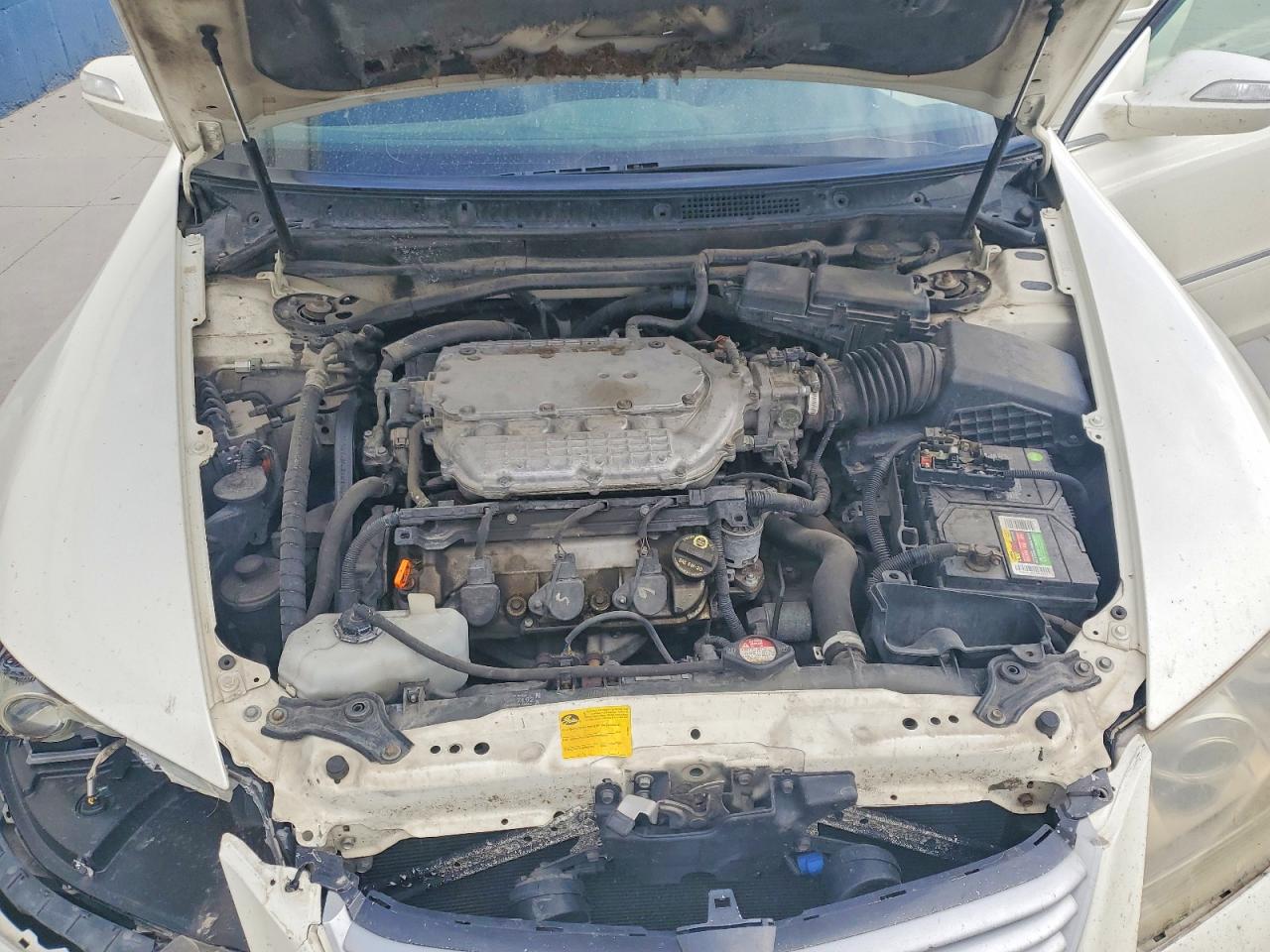 2005 Acura Rl White vin: JH4KB16515C015686