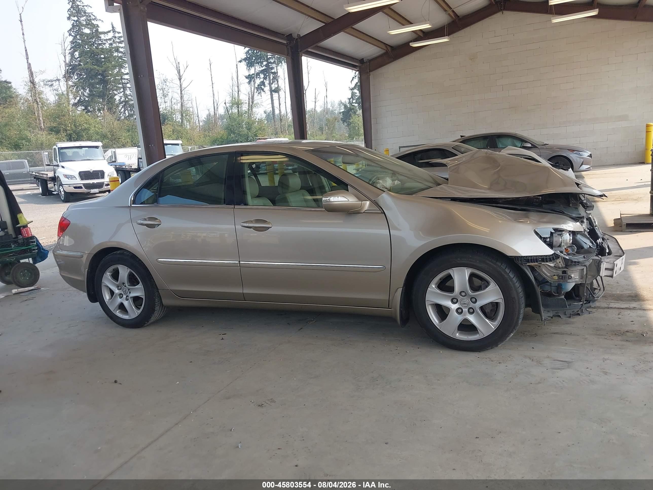 2005 Acura Rl 3.5 Beige vin: JH4KB16515C019771