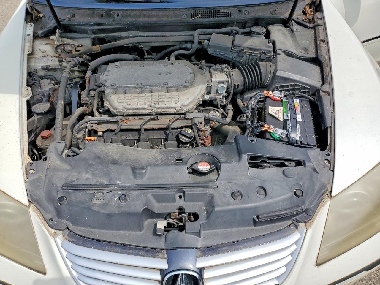 2006 Acura Rl White vin: JH4KB16516C004429