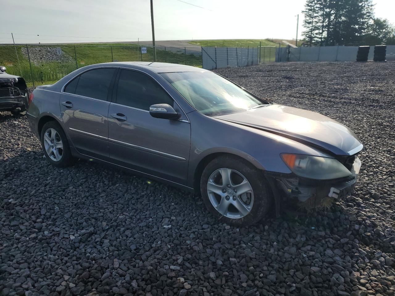 2005 Acura Rl Gray vin: JH4KB16535C001238