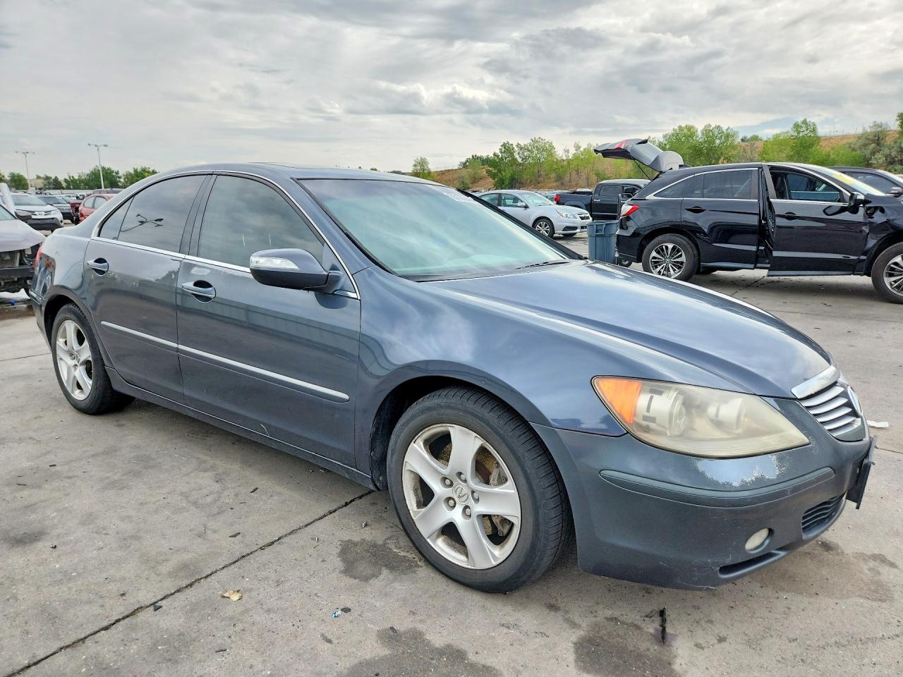 2005 Acura Rl Серый vin: JH4KB16545C012409