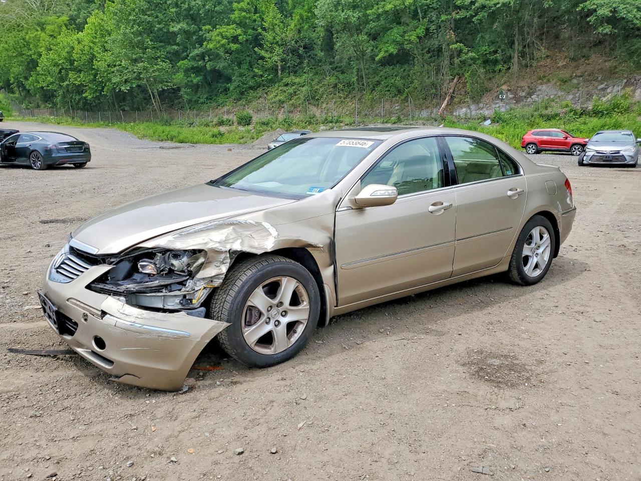 2006 Acura Rl Желто-коричневый vin: JH4KB16576C001843