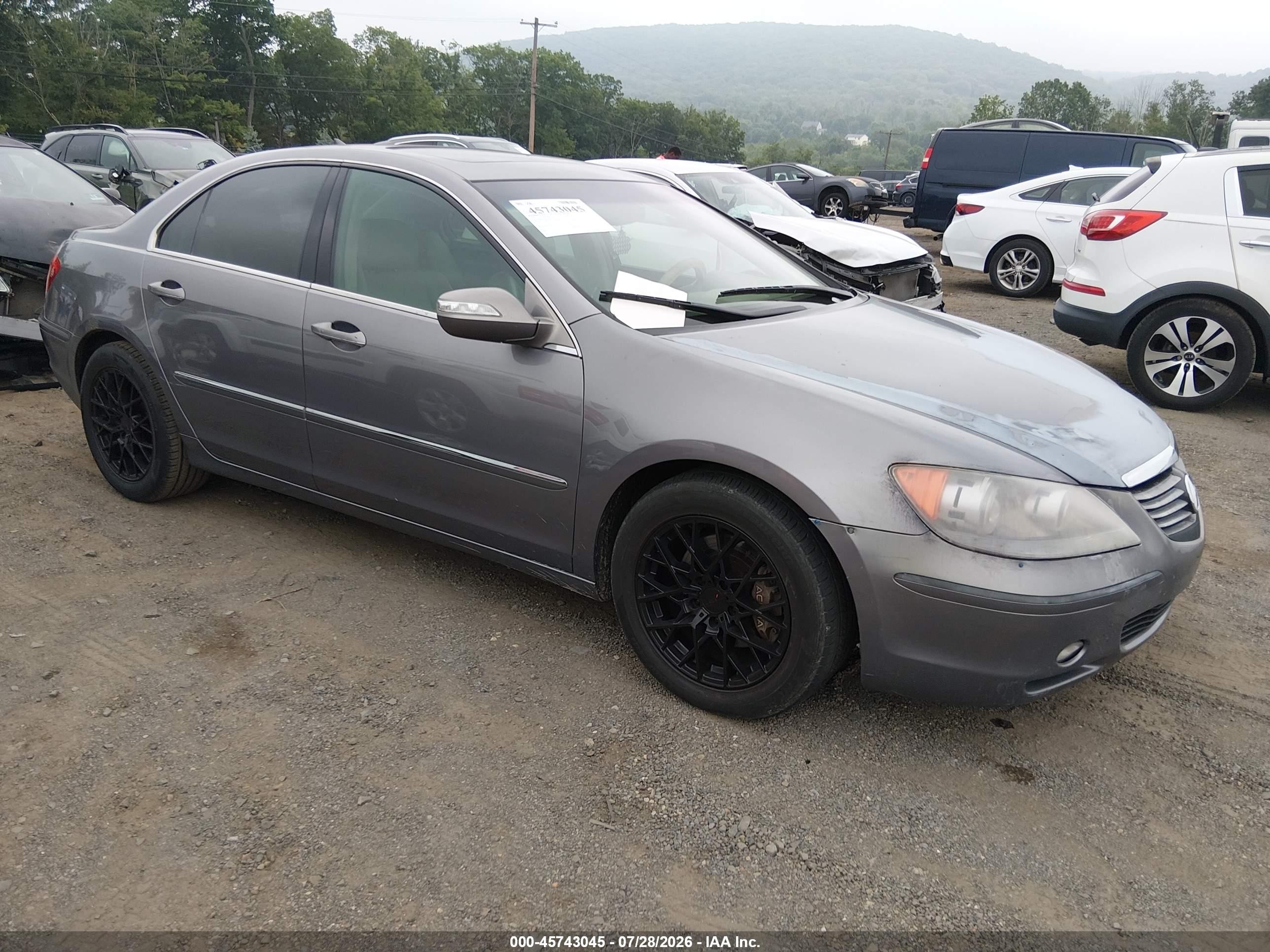 2005 Acura Rl 3.5 Gray vin: JH4KB165X5C017257
