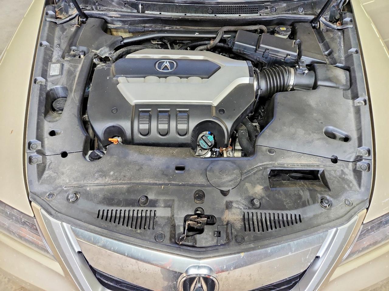 2009 Acura Rl Beige vin: JH4KB266X9C000706