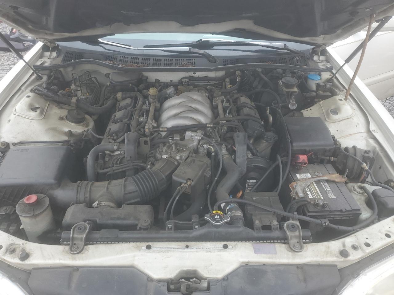 1997 Acura 3.2tl White vin: JH4UA3643VC011265