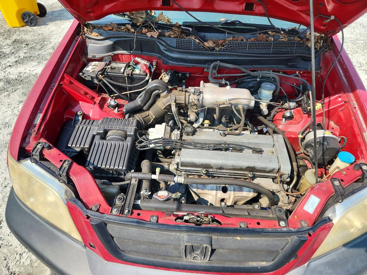 1997 Honda Cr-v Lx Burgundy vin: JHLRD1846VC018892