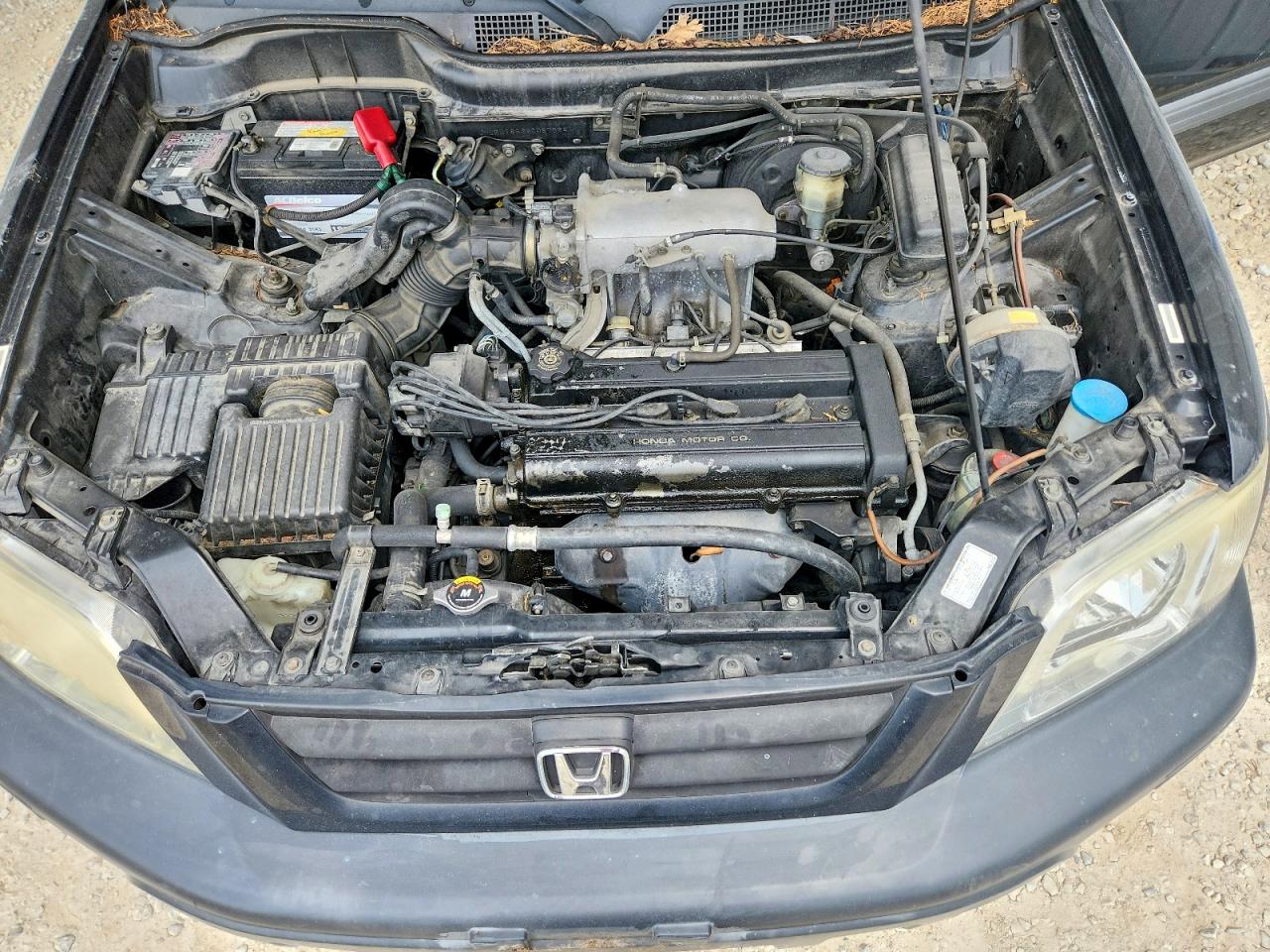 1998 Honda Cr-v Ex Black vin: JHLRD1863WC087624