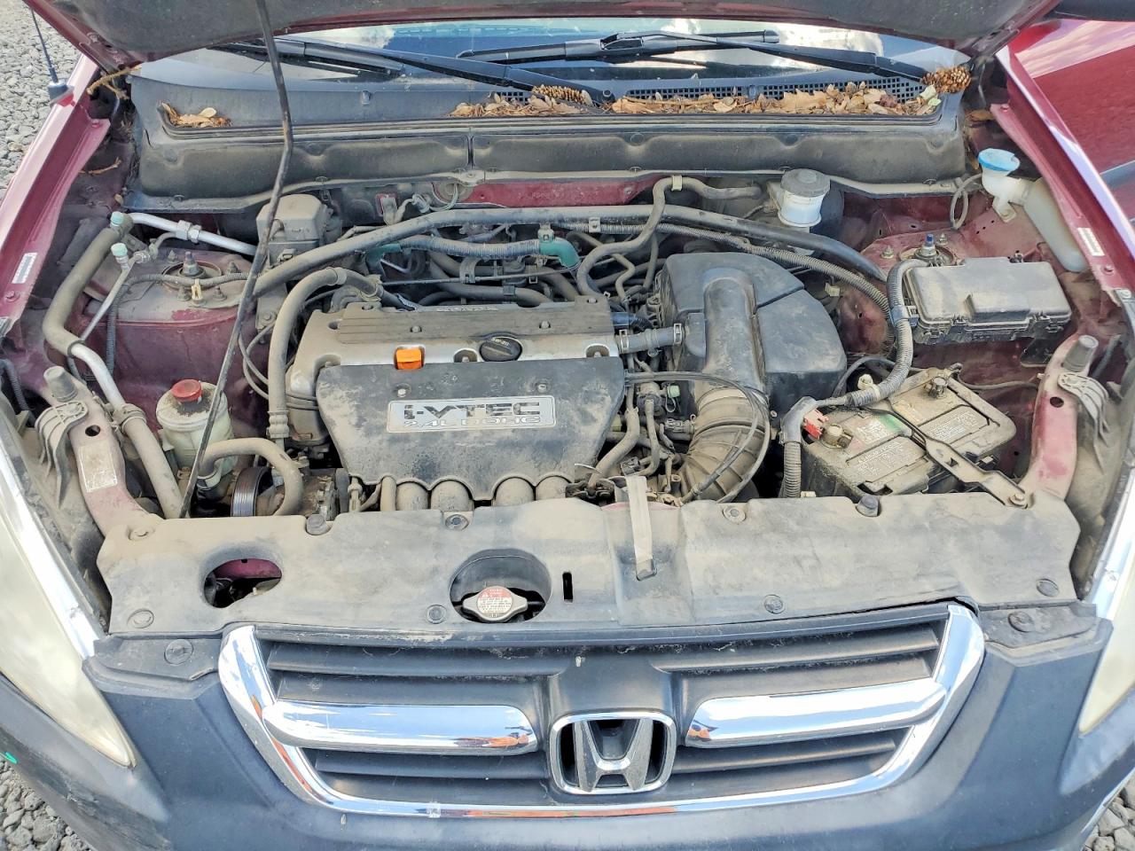 2003 Honda Cr-v Lx Burgundy vin: JHLRD68453C019218
