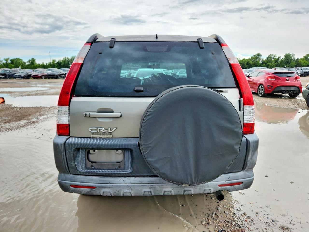 2006 Honda Cr-v Ex Gray vin: JHLRD68806C016654