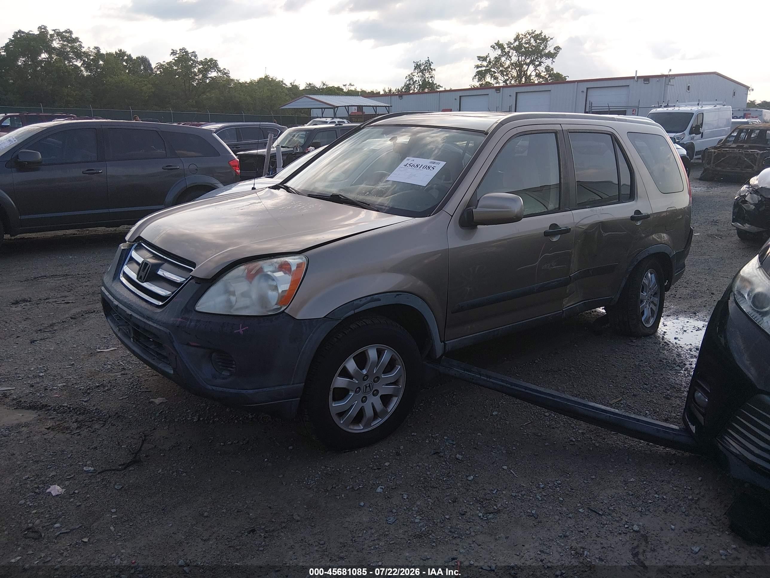2006 Honda Cr-v Ex Cream vin: JHLRD68806C028836