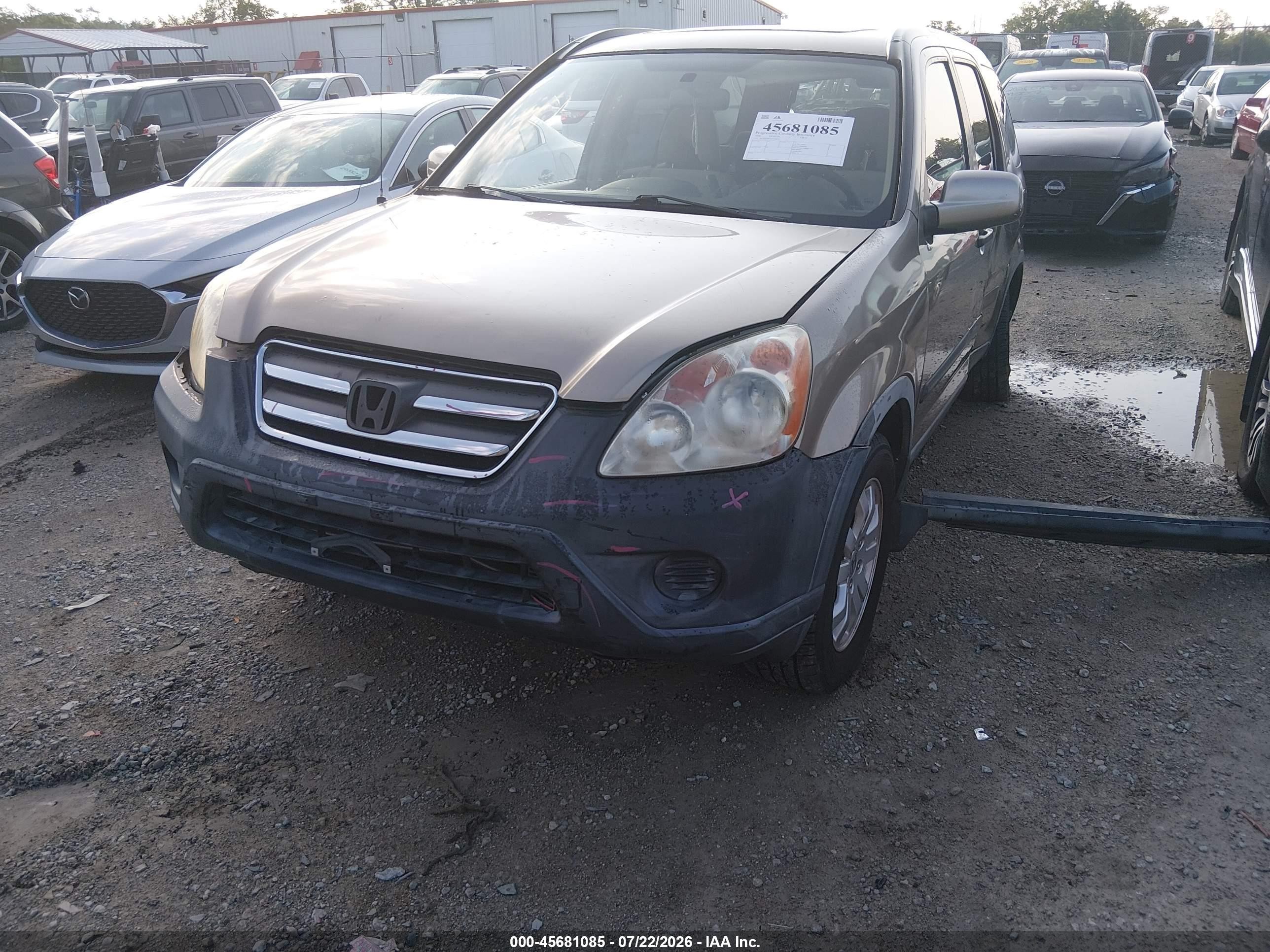 2006 Honda Cr-v Ex Cream vin: JHLRD68806C028836