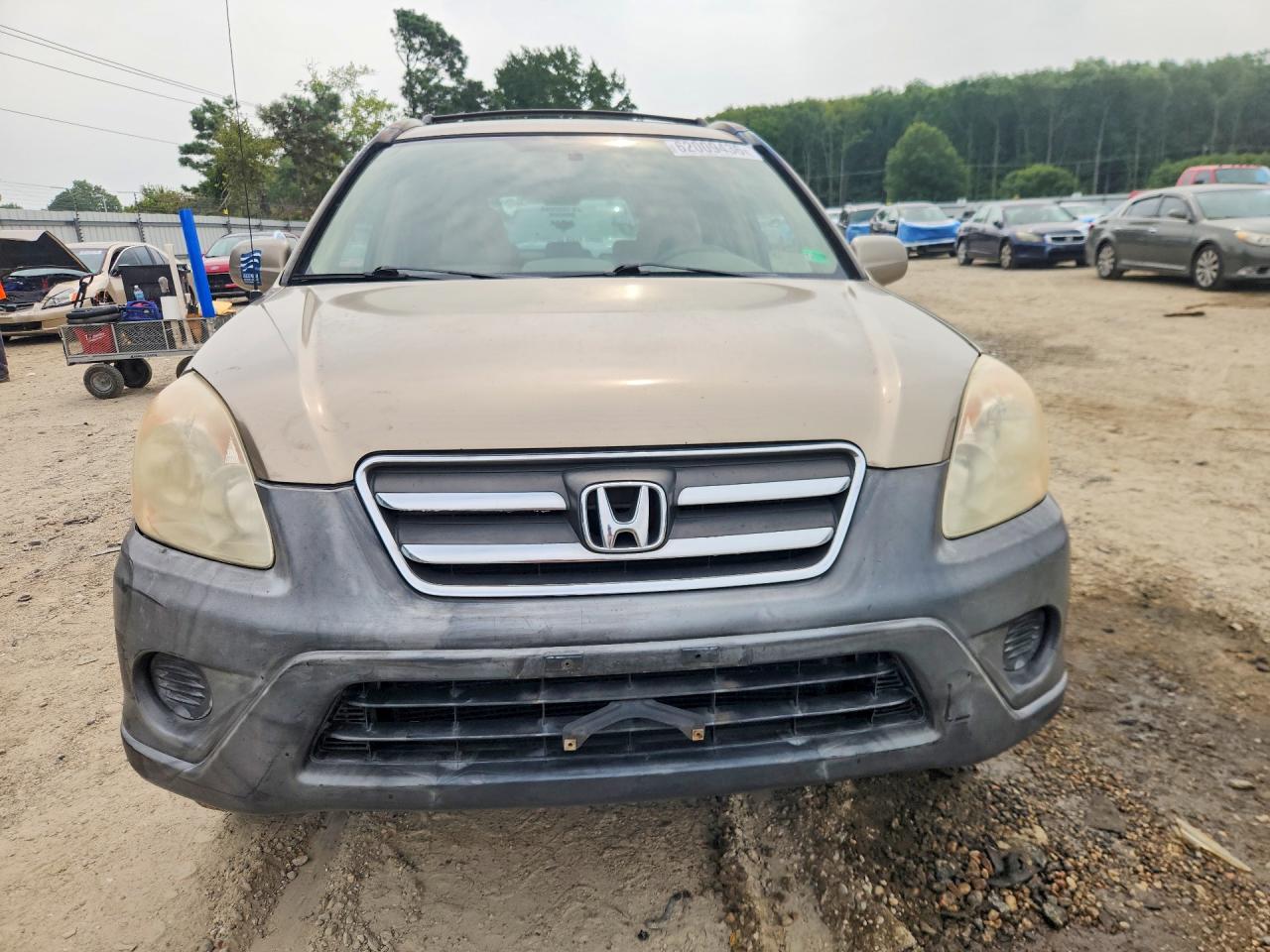 2006 Honda Cr-v Ex Gold vin: JHLRD68836C023243