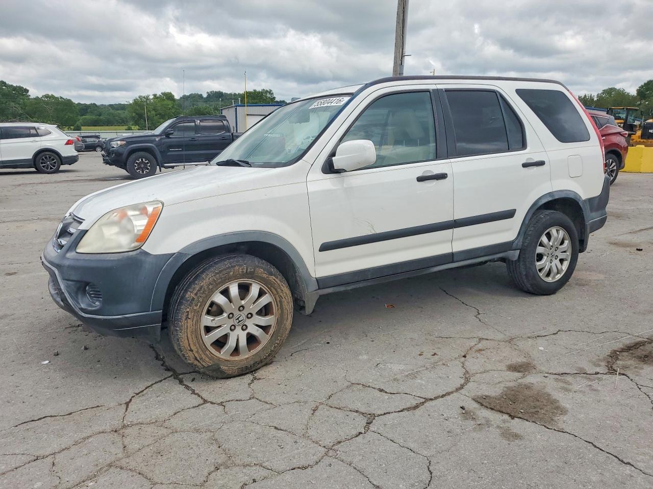 2006 Honda Cr-v Ex White vin: JHLRD68856C021462