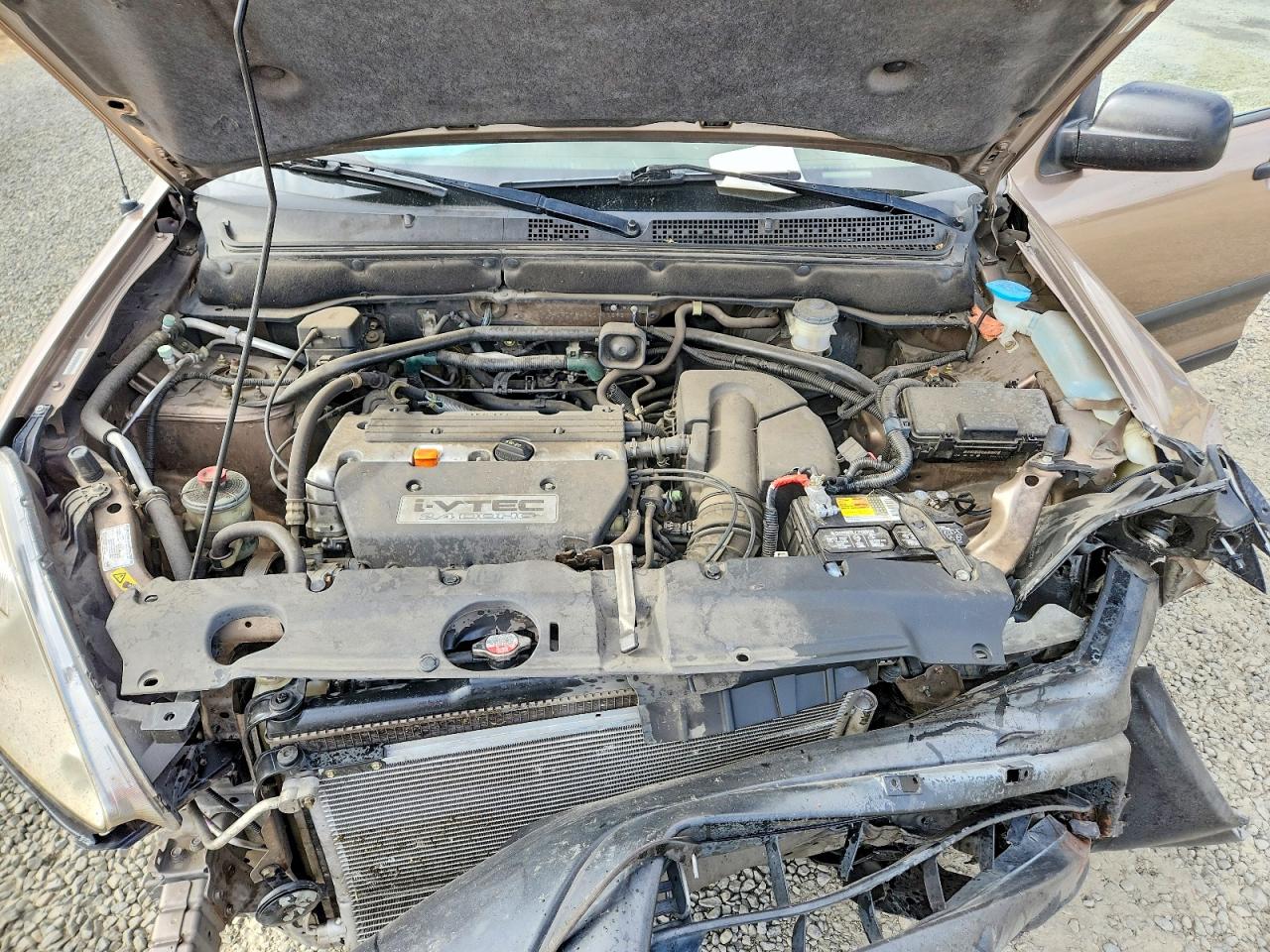 2004 Honda Cr-v Lx Tan vin: JHLRD78404C017593