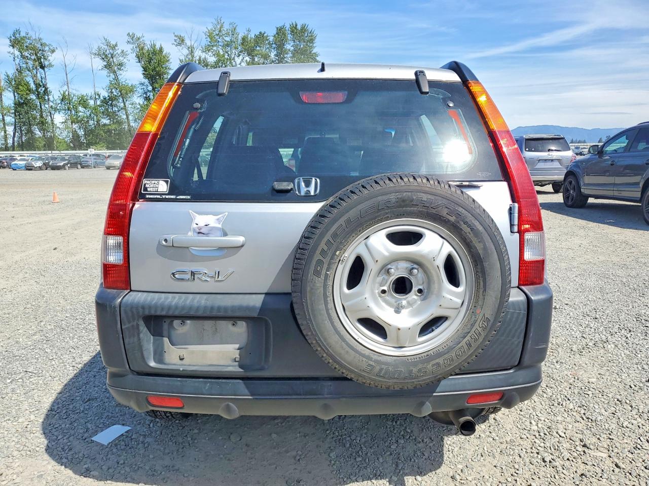 2004 Honda Cr-v Lx Silver vin: JHLRD78444C012543