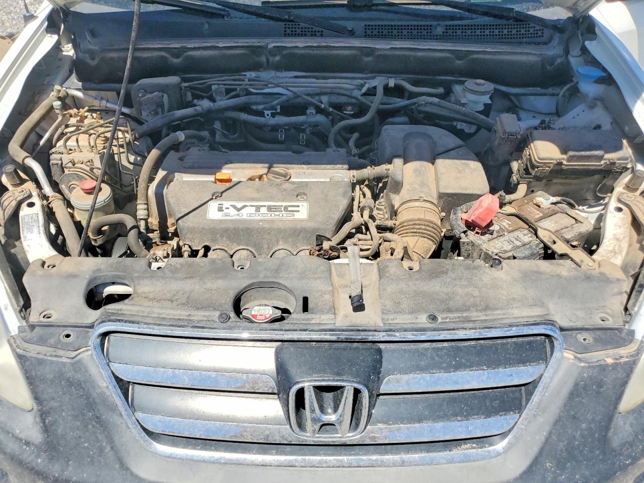 2005 Honda Cr-v Lx Белый vin: JHLRD78545C007451