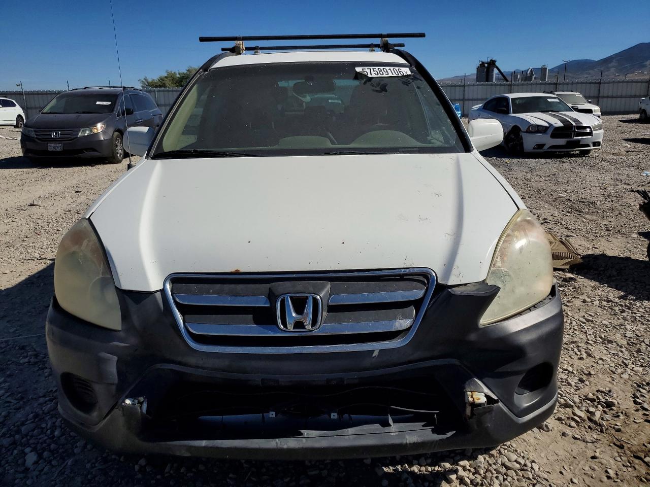 2006 Honda Cr-v Ex White vin: JHLRD78806C016417