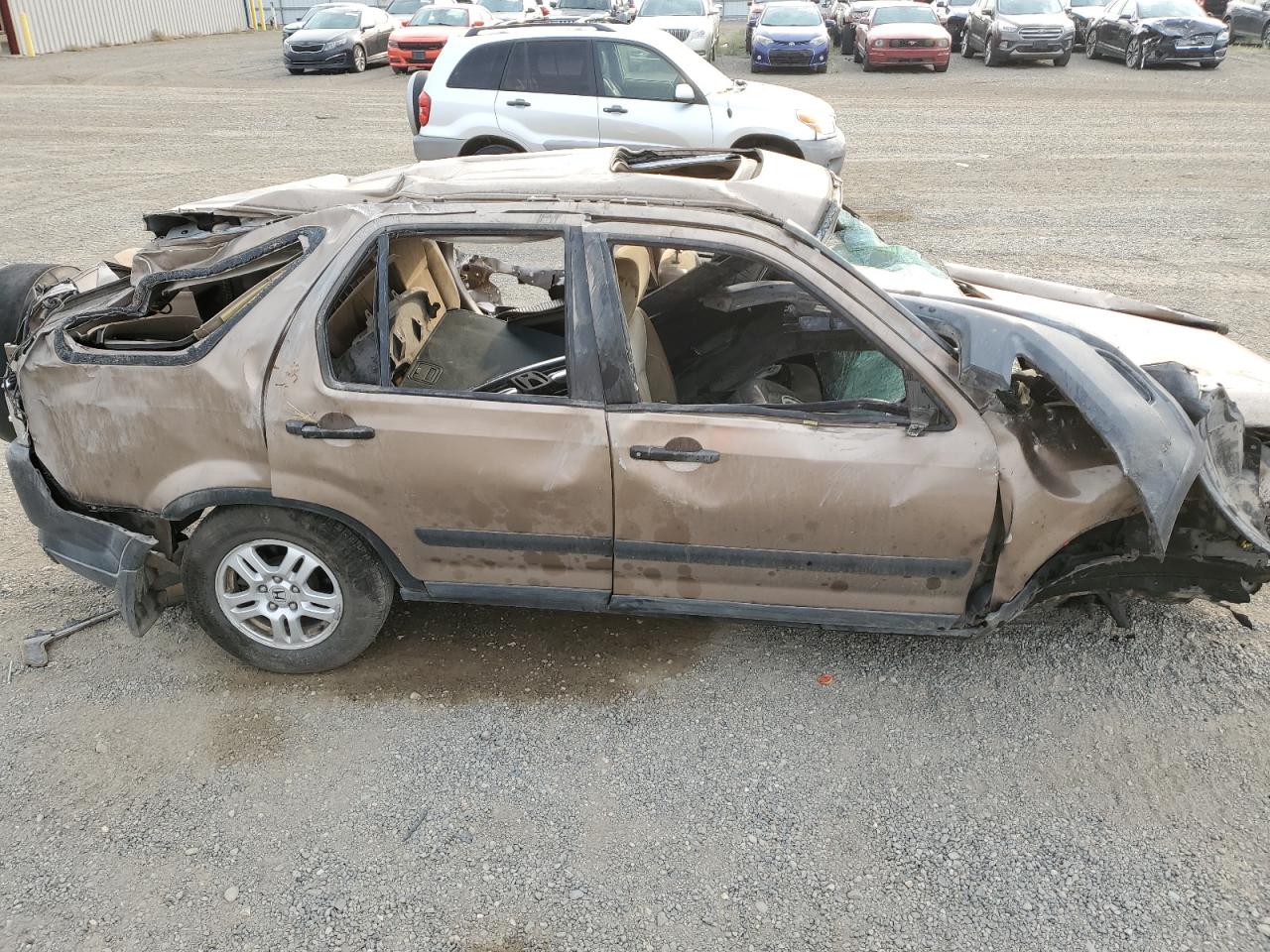 2003 Honda Cr-v Ex Gold vin: JHLRD78813C017779