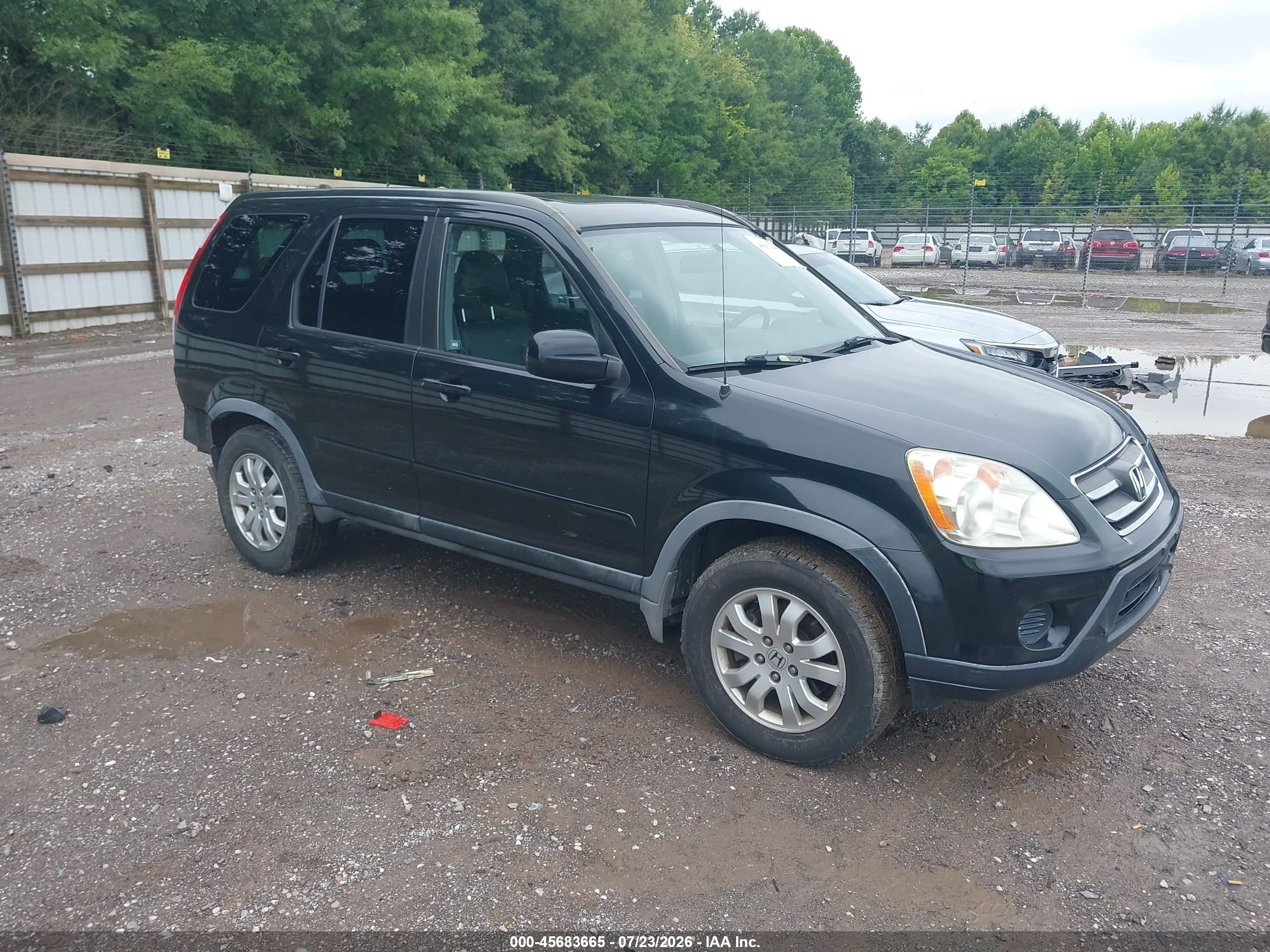 2006 Honda Cr-v Se Black vin: JHLRD78906C021089