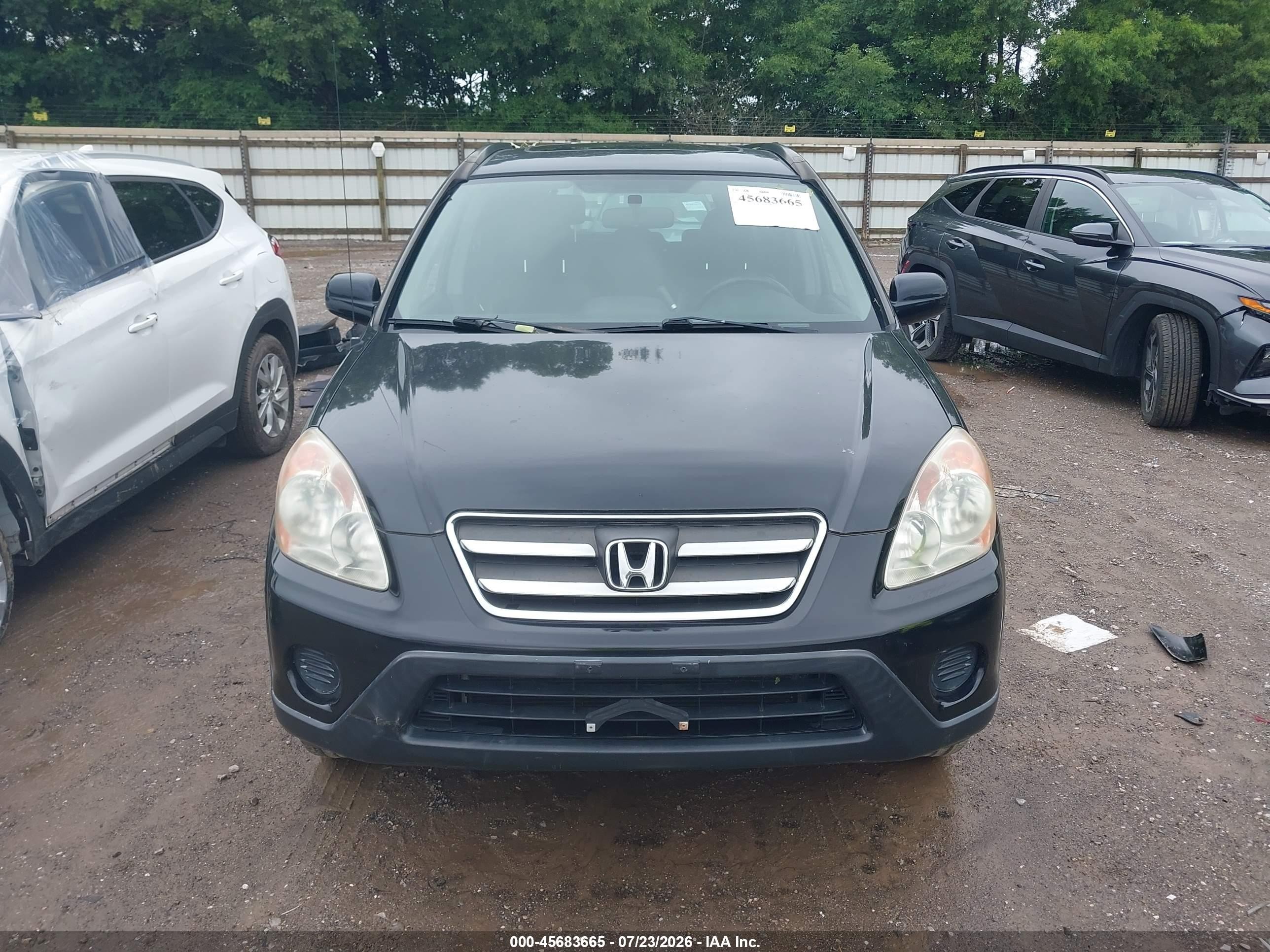 2006 Honda Cr-v Se Black vin: JHLRD78906C021089