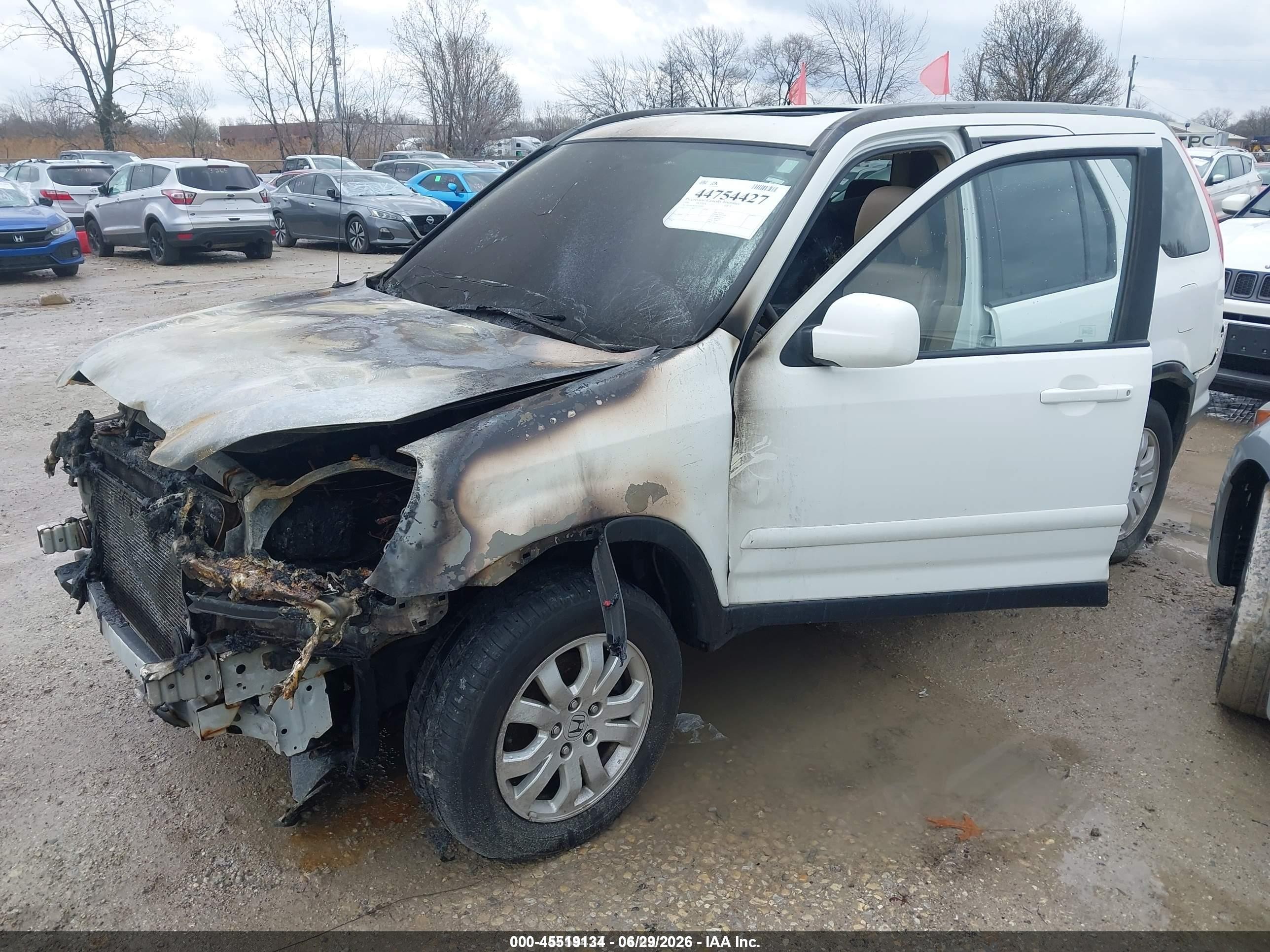 2006 Honda Cr-v Se White vin: JHLRD78926C048441