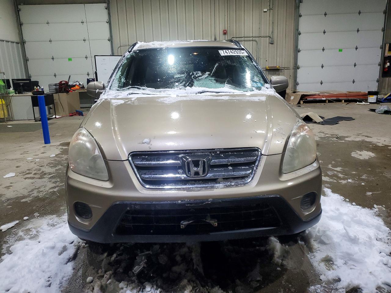 2005 Honda Cr-v Se Желто-коричневый vin: JHLRD78955C001287