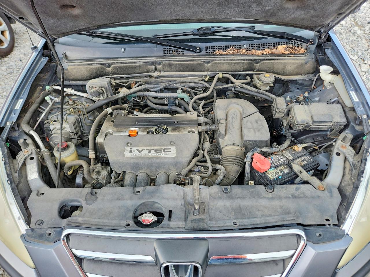 2005 Honda Cr-v Se Gray vin: JHLRD78955C032331