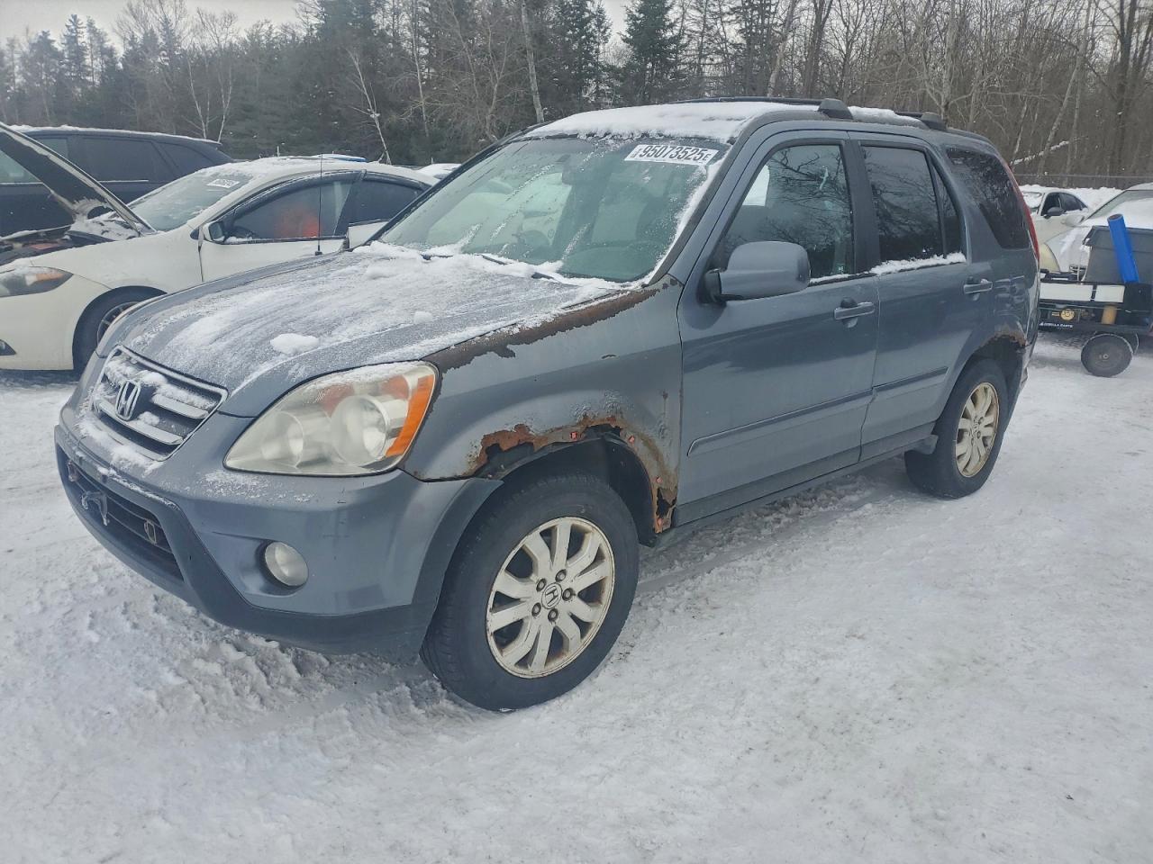 2006 Honda Cr-v Se Gray vin: JHLRD78956C802416