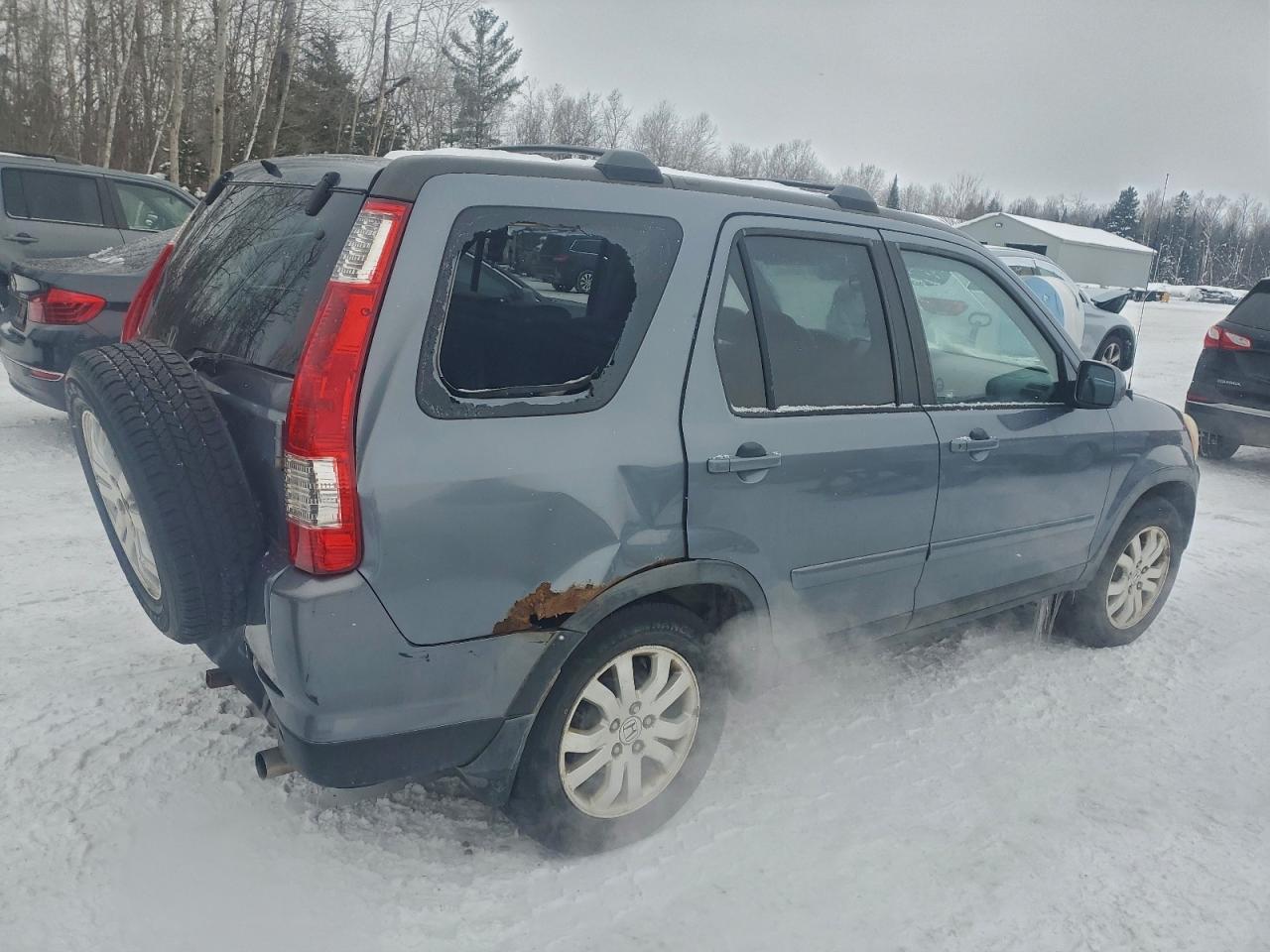 2006 Honda Cr-v Se Gray vin: JHLRD78956C802416